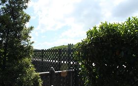 挪亞方舟度假酒店